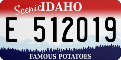 ID license plate E512019