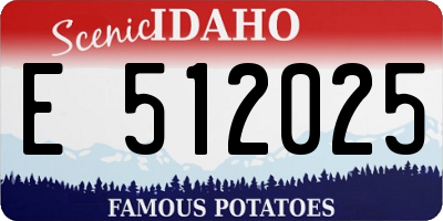 ID license plate E512025