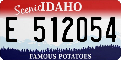 ID license plate E512054