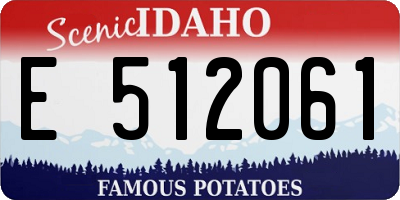 ID license plate E512061