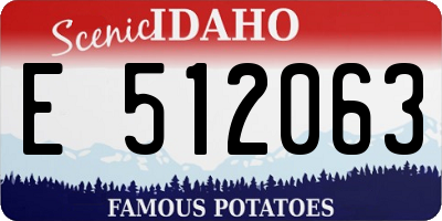 ID license plate E512063