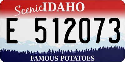 ID license plate E512073