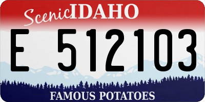 ID license plate E512103