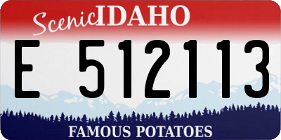 ID license plate E512113