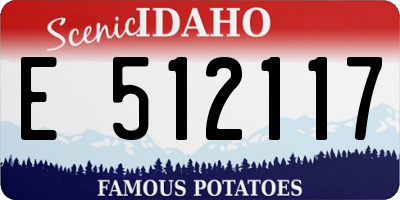 ID license plate E512117