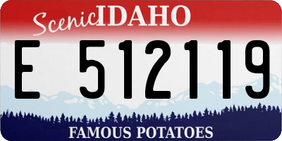 ID license plate E512119