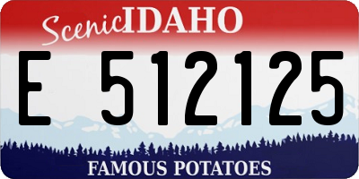 ID license plate E512125