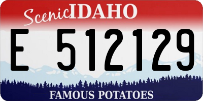 ID license plate E512129