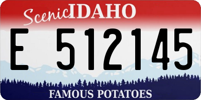 ID license plate E512145