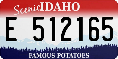 ID license plate E512165