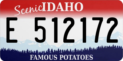 ID license plate E512172