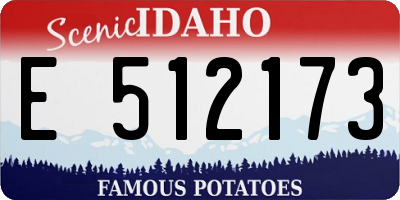 ID license plate E512173