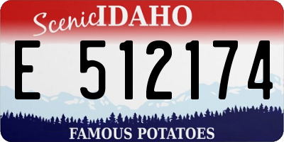 ID license plate E512174