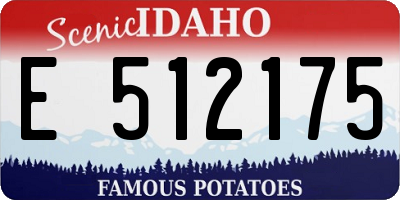 ID license plate E512175