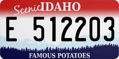 ID license plate E512203
