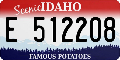 ID license plate E512208