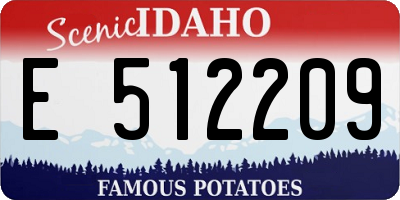 ID license plate E512209