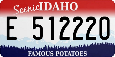 ID license plate E512220
