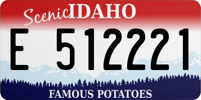 ID license plate E512221