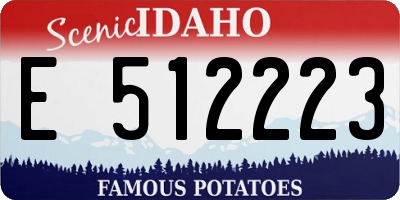 ID license plate E512223