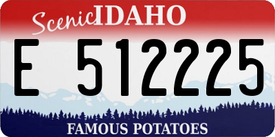 ID license plate E512225