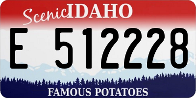 ID license plate E512228