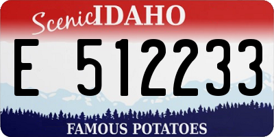 ID license plate E512233