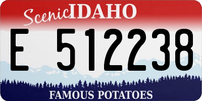 ID license plate E512238