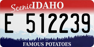 ID license plate E512239