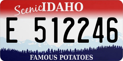 ID license plate E512246