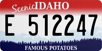 ID license plate E512247