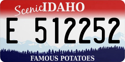 ID license plate E512252