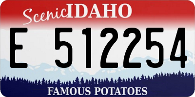 ID license plate E512254