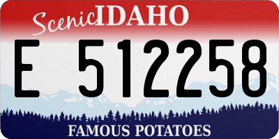 ID license plate E512258