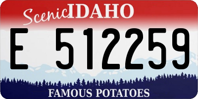 ID license plate E512259