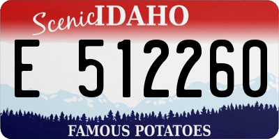 ID license plate E512260