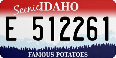 ID license plate E512261