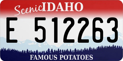 ID license plate E512263