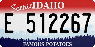ID license plate E512267