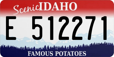 ID license plate E512271
