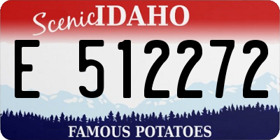 ID license plate E512272