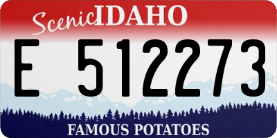 ID license plate E512273