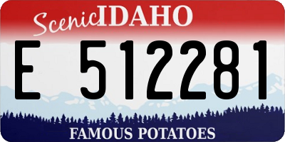 ID license plate E512281