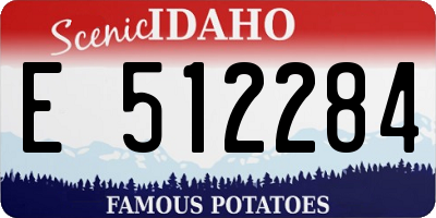 ID license plate E512284