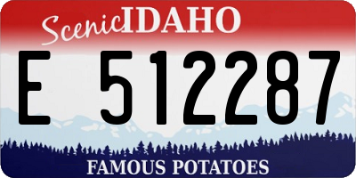 ID license plate E512287
