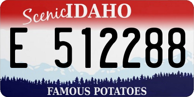 ID license plate E512288
