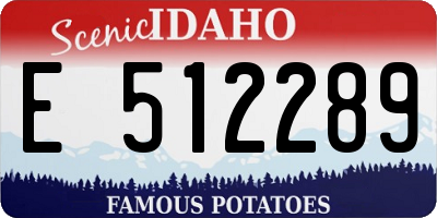 ID license plate E512289