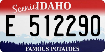 ID license plate E512290