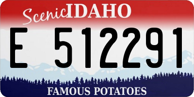 ID license plate E512291