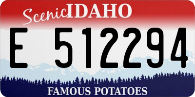 ID license plate E512294